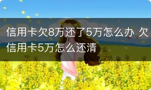 信用卡欠8万还了5万怎么办 欠信用卡5万怎么还清