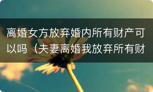 离婚女方放弃婚内所有财产可以吗（夫妻离婚我放弃所有财产归女方所有可以吗）