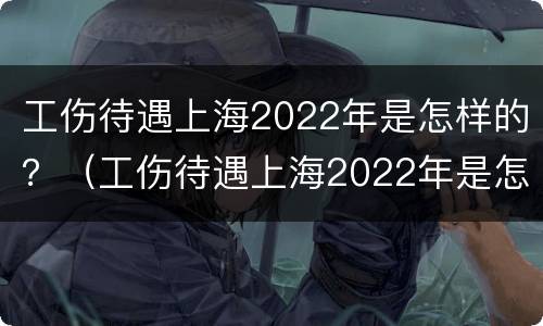 工伤待遇上海2022年是怎样的？（工伤待遇上海2022年是怎样的呢）
