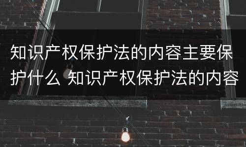 知识产权保护法的内容主要保护什么 知识产权保护法的内容主要保护什么