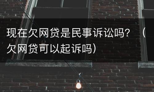 现在欠网贷是民事诉讼吗？（欠网贷可以起诉吗）