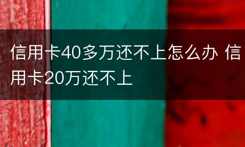 信用卡40多万还不上怎么办 信用卡20万还不上