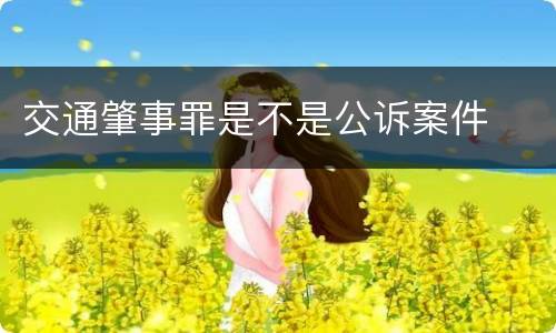 交通肇事罪是不是公诉案件