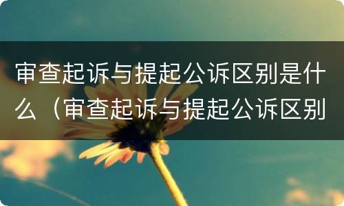 审查起诉与提起公诉区别是什么（审查起诉与提起公诉区别是什么意思）