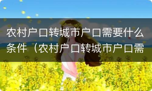 农村户口转城市户口需要什么条件（农村户口转城市户口需要什么条件和手续）