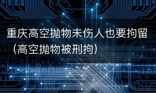 重庆高空抛物未伤人也要拘留（高空抛物被刑拘）