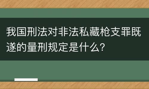 我国刑法对非法私藏枪支罪既遂的量刑规定是什么？