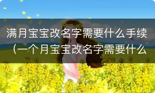 满月宝宝改名字需要什么手续（一个月宝宝改名字需要什么手续）
