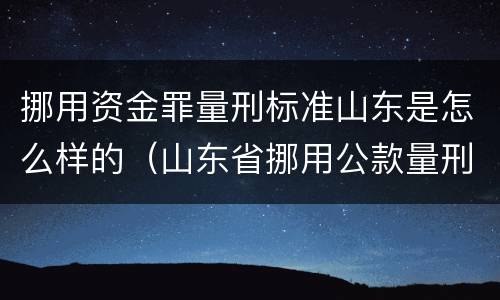 挪用资金罪量刑标准山东是怎么样的（山东省挪用公款量刑指导意见）