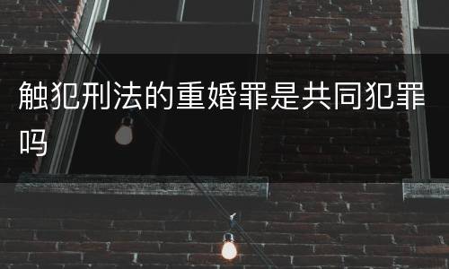 触犯刑法的重婚罪是共同犯罪吗