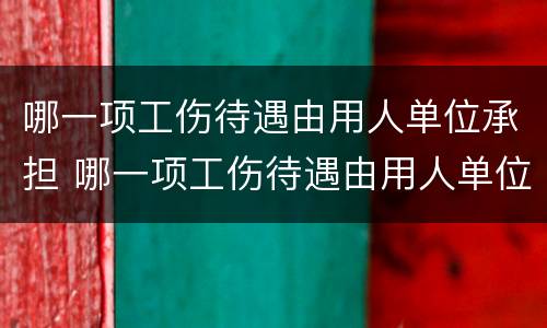 哪一项工伤待遇由用人单位承担 哪一项工伤待遇由用人单位承担责任