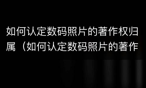 如何认定数码照片的著作权归属（如何认定数码照片的著作权归属属性）