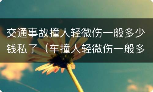 交通事故撞人轻微伤一般多少钱私了（车撞人轻微伤一般多少钱私了）