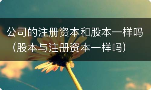 公司的注册资本和股本一样吗（股本与注册资本一样吗）