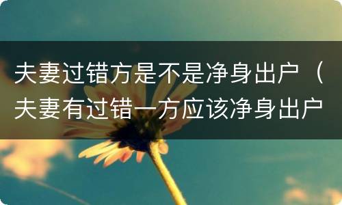 夫妻过错方是不是净身出户（夫妻有过错一方应该净身出户吗）