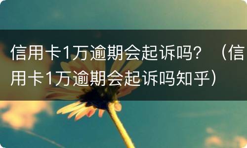 信用卡1万逾期会起诉吗？（信用卡1万逾期会起诉吗知乎）
