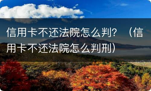 信用卡不还法院怎么判？（信用卡不还法院怎么判刑）