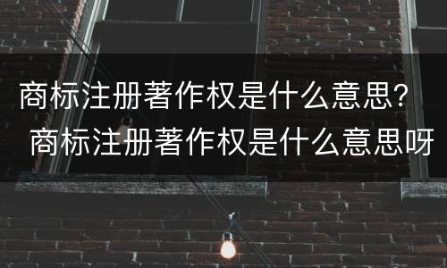商标注册著作权是什么意思？ 商标注册著作权是什么意思呀