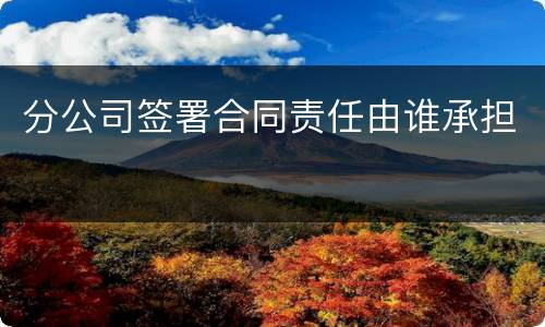 分公司签署合同责任由谁承担