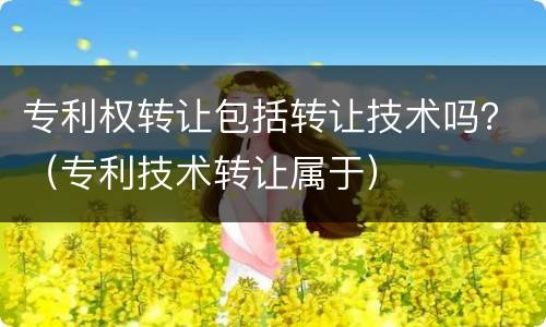 专利权转让包括转让技术吗？（专利技术转让属于）
