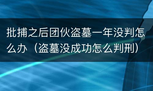 批捕之后团伙盗墓一年没判怎么办（盗墓没成功怎么判刑）