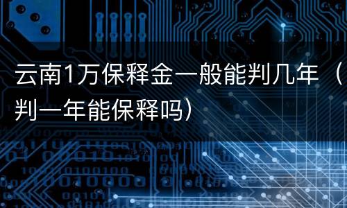 云南1万保释金一般能判几年（判一年能保释吗）