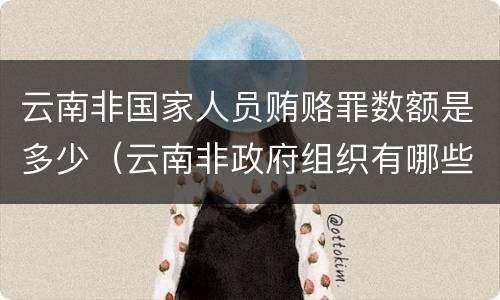 云南非国家人员贿赂罪数额是多少（云南非政府组织有哪些）