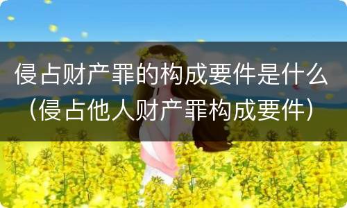 侵占财产罪的构成要件是什么（侵占他人财产罪构成要件）