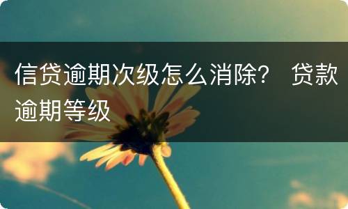 信贷逾期次级怎么消除？ 贷款逾期等级