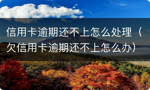 信用卡逾期还不上怎么处理（欠信用卡逾期还不上怎么办）