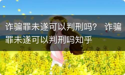 诈骗罪未遂可以判刑吗？ 诈骗罪未遂可以判刑吗知乎