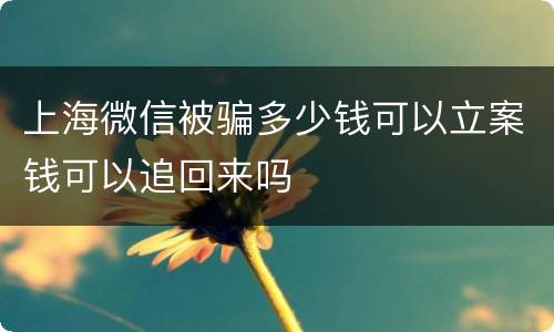 上海微信被骗多少钱可以立案钱可以追回来吗