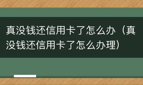 真没钱还信用卡了怎么办（真没钱还信用卡了怎么办理）