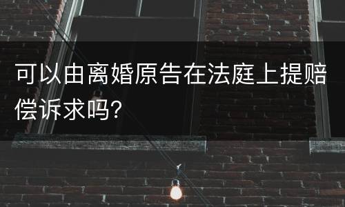 可以由离婚原告在法庭上提赔偿诉求吗？