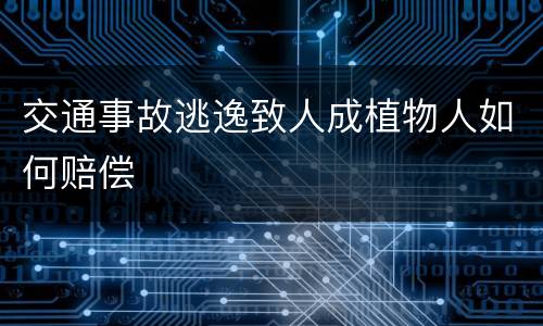 交通事故逃逸致人成植物人如何赔偿
