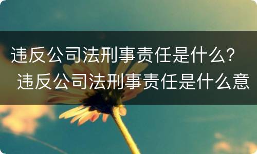 违反公司法刑事责任是什么？ 违反公司法刑事责任是什么意思