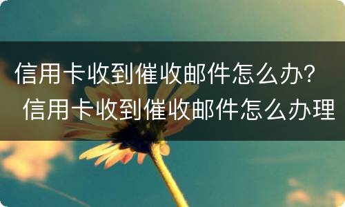 信用卡收到催收邮件怎么办？ 信用卡收到催收邮件怎么办理