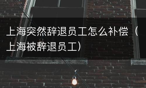 上海突然辞退员工怎么补偿（上海被辞退员工）