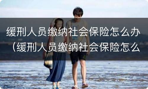 缓刑人员缴纳社会保险怎么办（缓刑人员缴纳社会保险怎么办理）