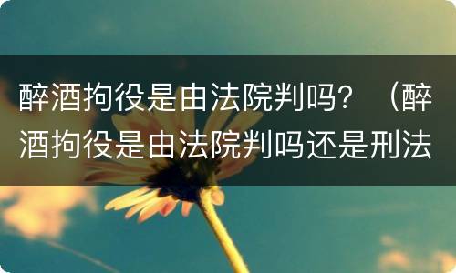 醉酒拘役是由法院判吗？（醉酒拘役是由法院判吗还是刑法）