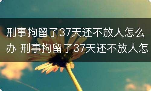 刑事拘留了37天还不放人怎么办 刑事拘留了37天还不放人怎么办理