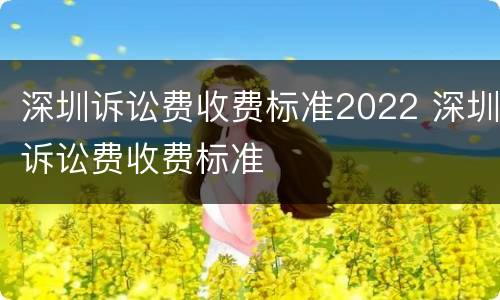 深圳诉讼费收费标准2022 深圳诉讼费收费标准