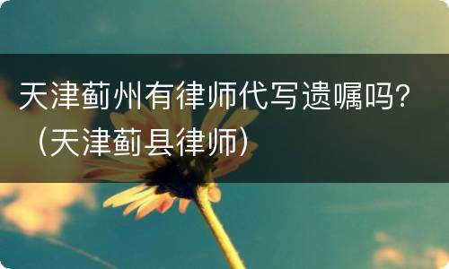 天津蓟州有律师代写遗嘱吗？（天津蓟县律师）