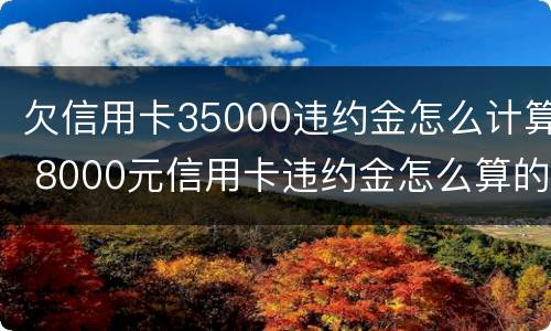 欠信用卡35000违约金怎么计算 8000元信用卡违约金怎么算的