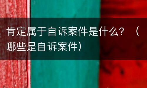 肯定属于自诉案件是什么？（哪些是自诉案件）