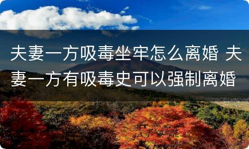 夫妻一方吸毒坐牢怎么离婚 夫妻一方有吸毒史可以强制离婚吗