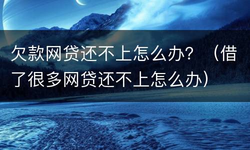 欠款网贷还不上怎么办？（借了很多网贷还不上怎么办）
