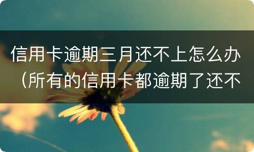 信用卡逾期三月还不上怎么办（所有的信用卡都逾期了还不上,怎么办）