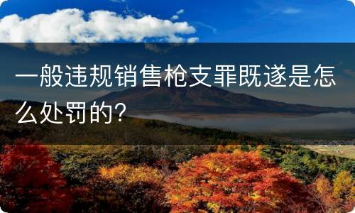 一般违规销售枪支罪既遂是怎么处罚的?