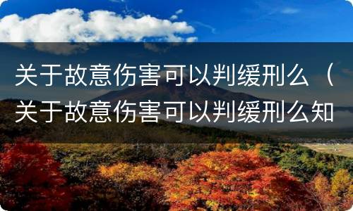关于故意伤害可以判缓刑么（关于故意伤害可以判缓刑么知乎）
